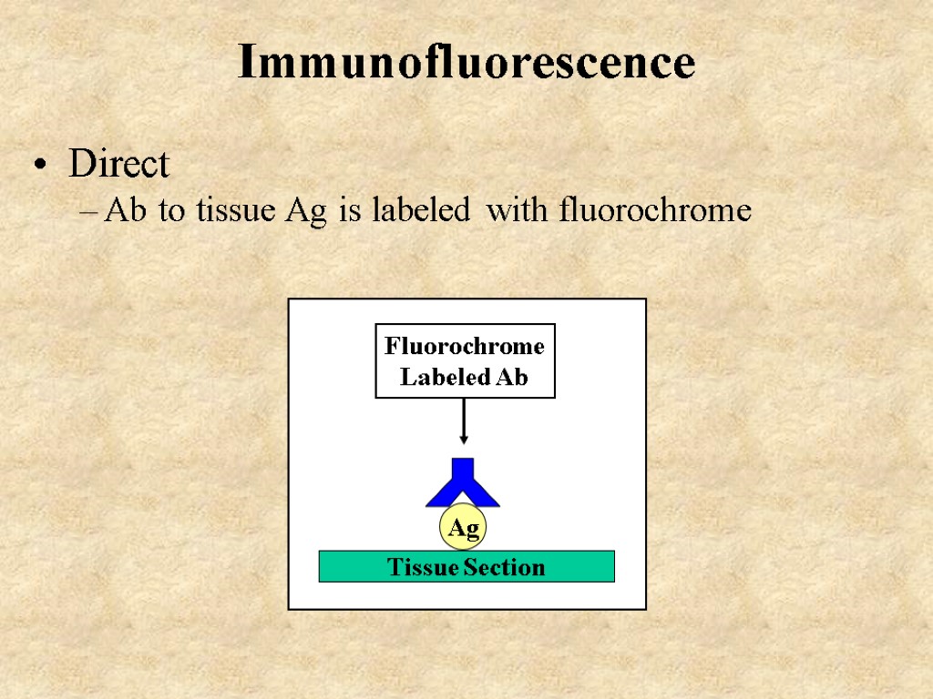 Immunofluorescence Direct Ab to tissue Ag is labeled with fluorochrome